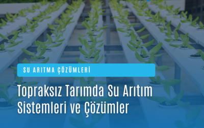 Topraksız Tarımda Su Arıtım Sistemleri ve Saka Arıtım’ın Çözümleri